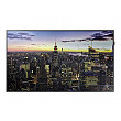 [해외]삼성 4K UHD 2160p LED-Backlit LCD Flat Panel Display 55&quot; Black (QM55H/US)