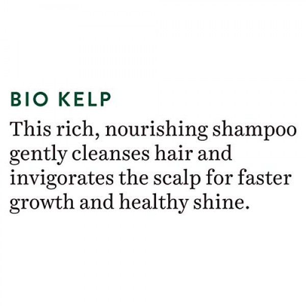 [해외] 바이오티크 식물성 샴푸 Biotique Botanicals BioKelp Shampoo, 4.2 Fluid Ounce